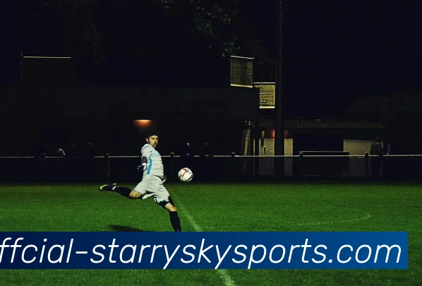 星空体育服务体系